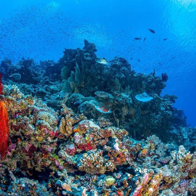 Instagram #newcaledonia