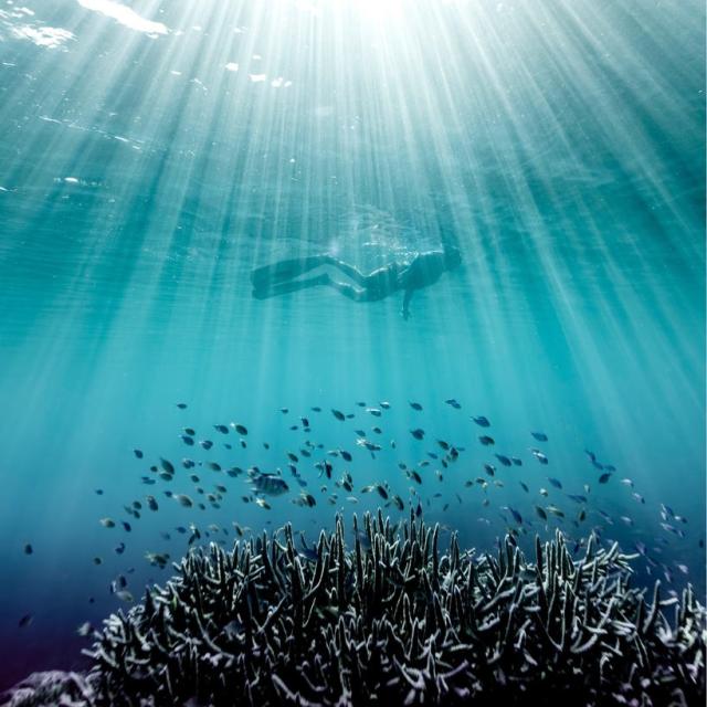 Instagram #nouvellecaledonie