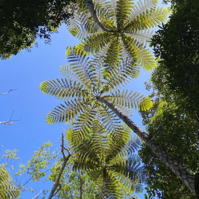Instagram #newcaledonia