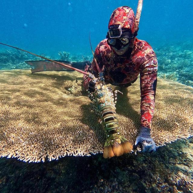 Instagram #newcaledonia