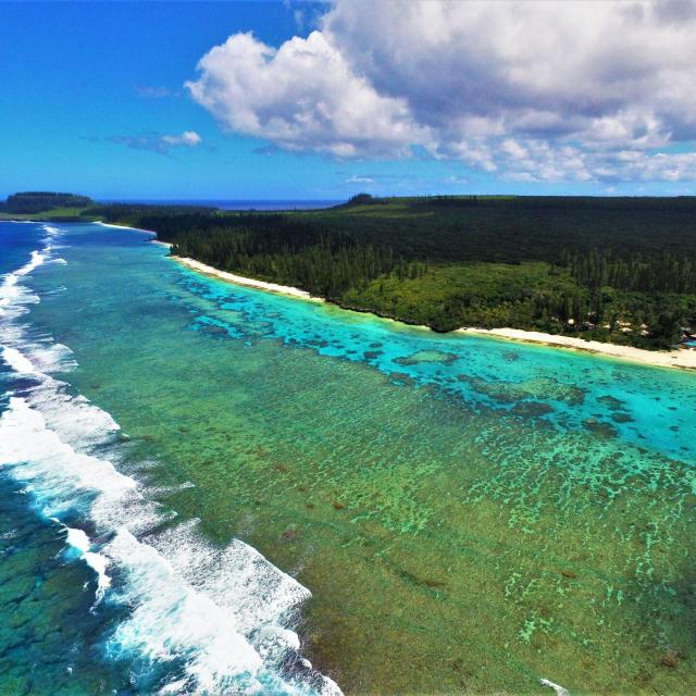 Paysage île de Maré en Nouvelle-Calédonie