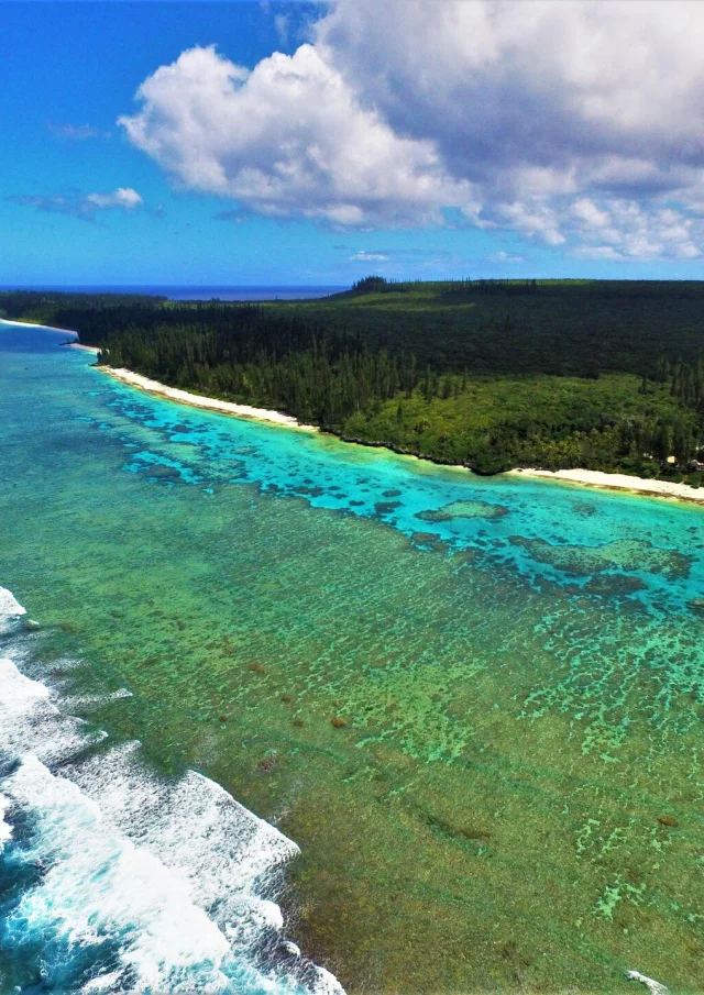Paysage île de Maré en Nouvelle-Calédonie