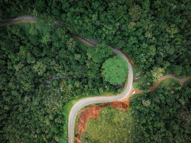 Route transversale dans la Chaine de Nouvelle-Calédonie