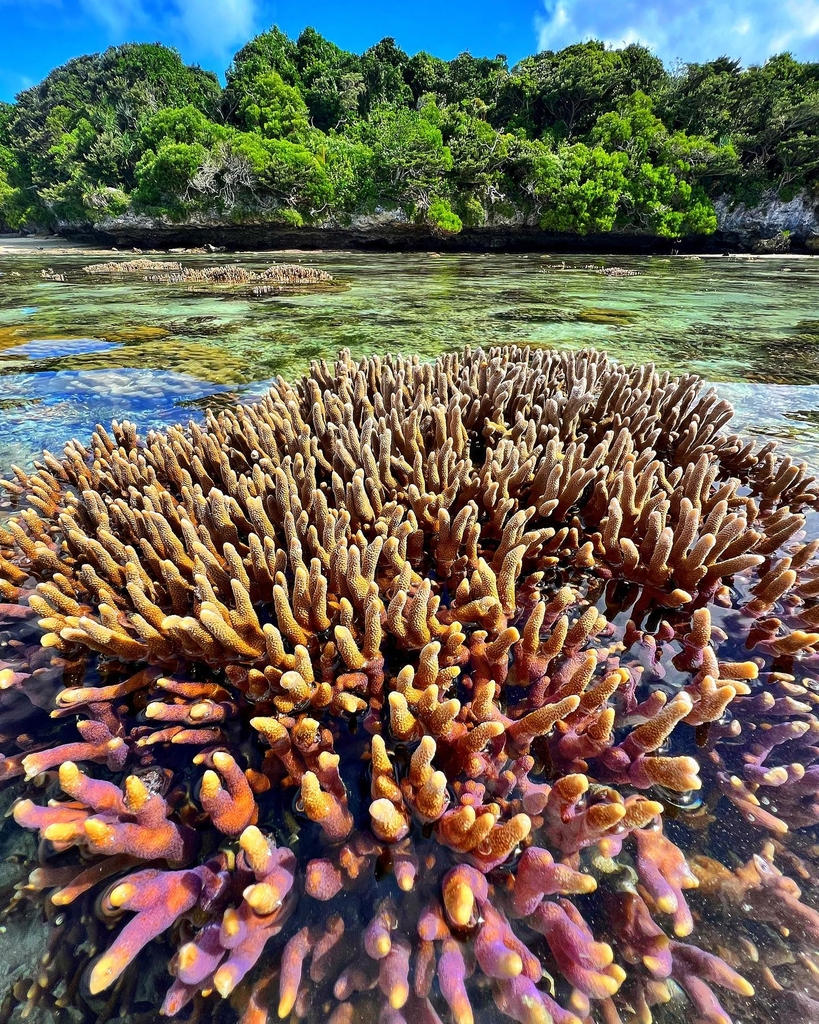 Instagram #lifou