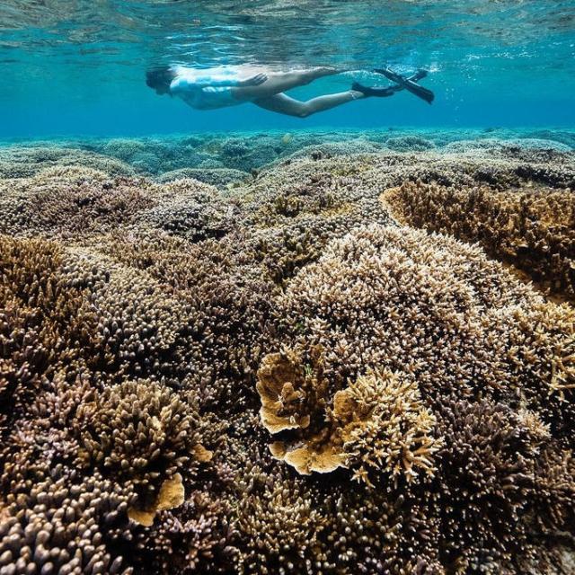 Instagram #lifou