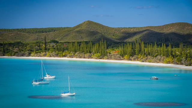 Croisière à l'île des Pins