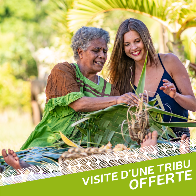 Offre-site-JLT-Voyages_5-100.png