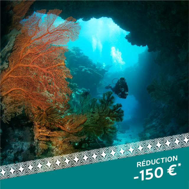 Offre-site-Ultramarina_2-100-1.jpg