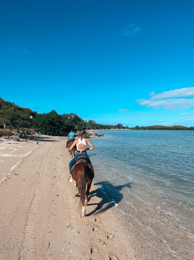 Balade équestre sur la plage de Ouano