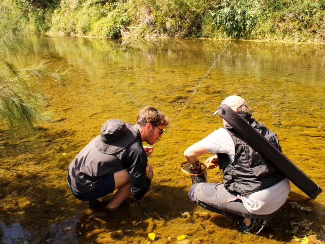 Pêche à la mouche en rivière