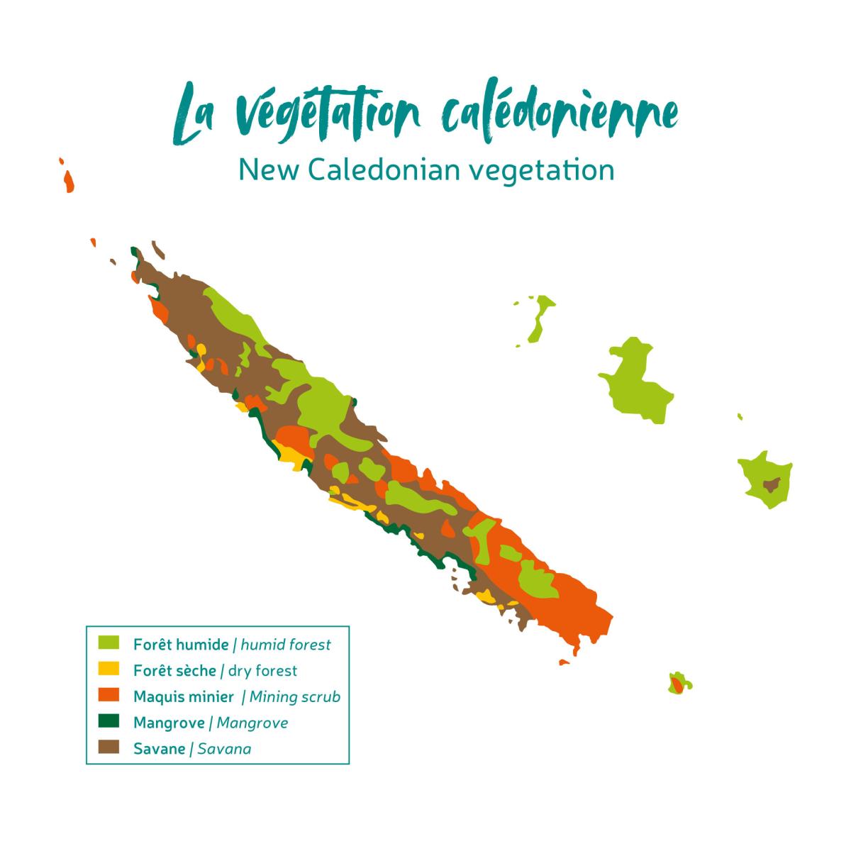 Nature préservée en NouvelleCalédonie NouvelleCalédonie Tourisme