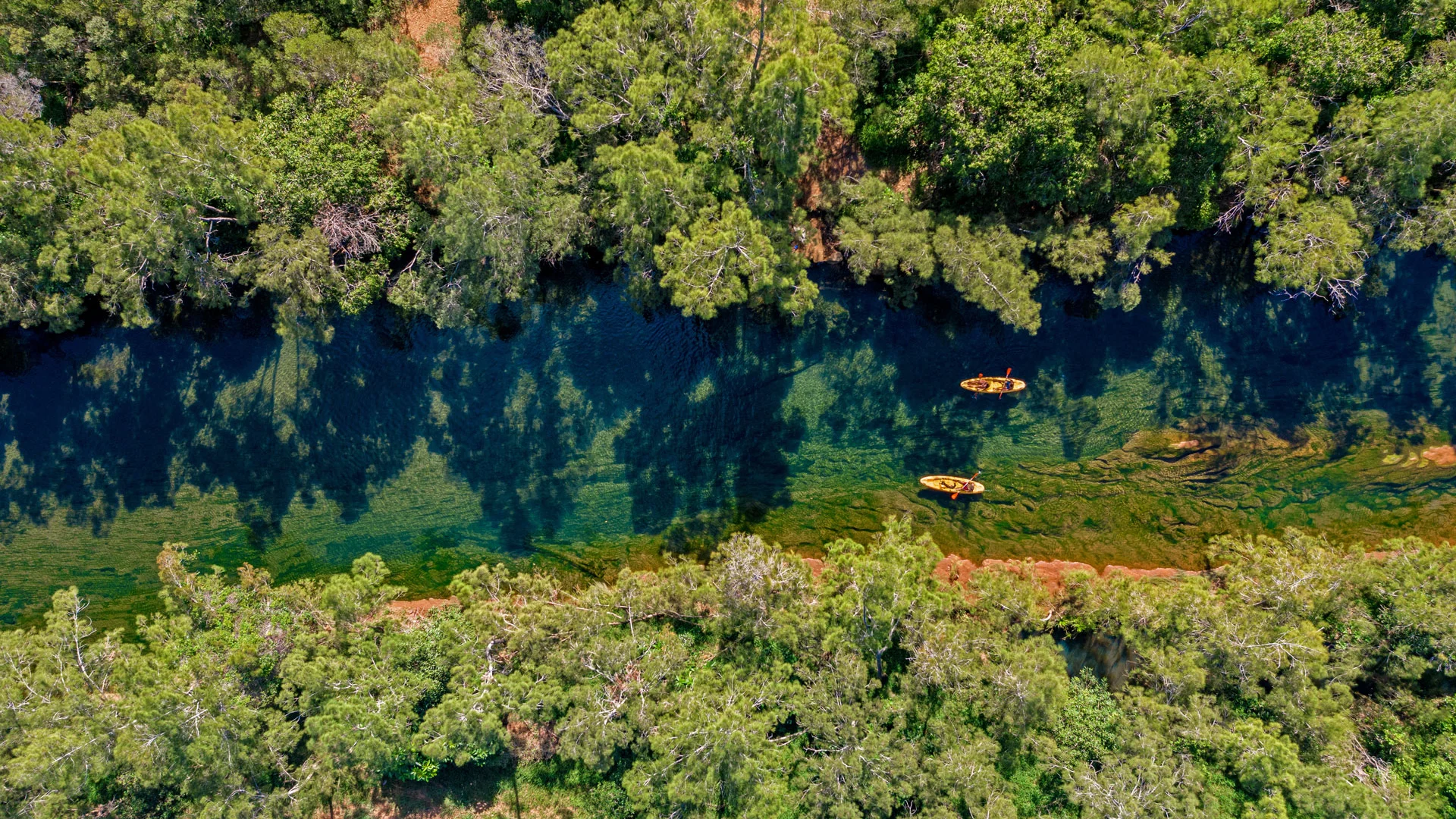 River kayaking trip in Boulouparis