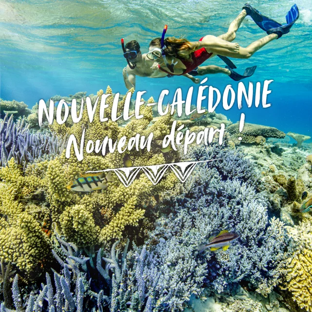 Nouveau départ - Plongée en Nouvelle-Calédonie