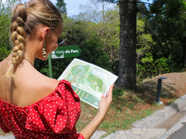 Carte-Parc-Forestier-Anaelle-Chretien-Steven-Lequertier-2034-04-01.jpg