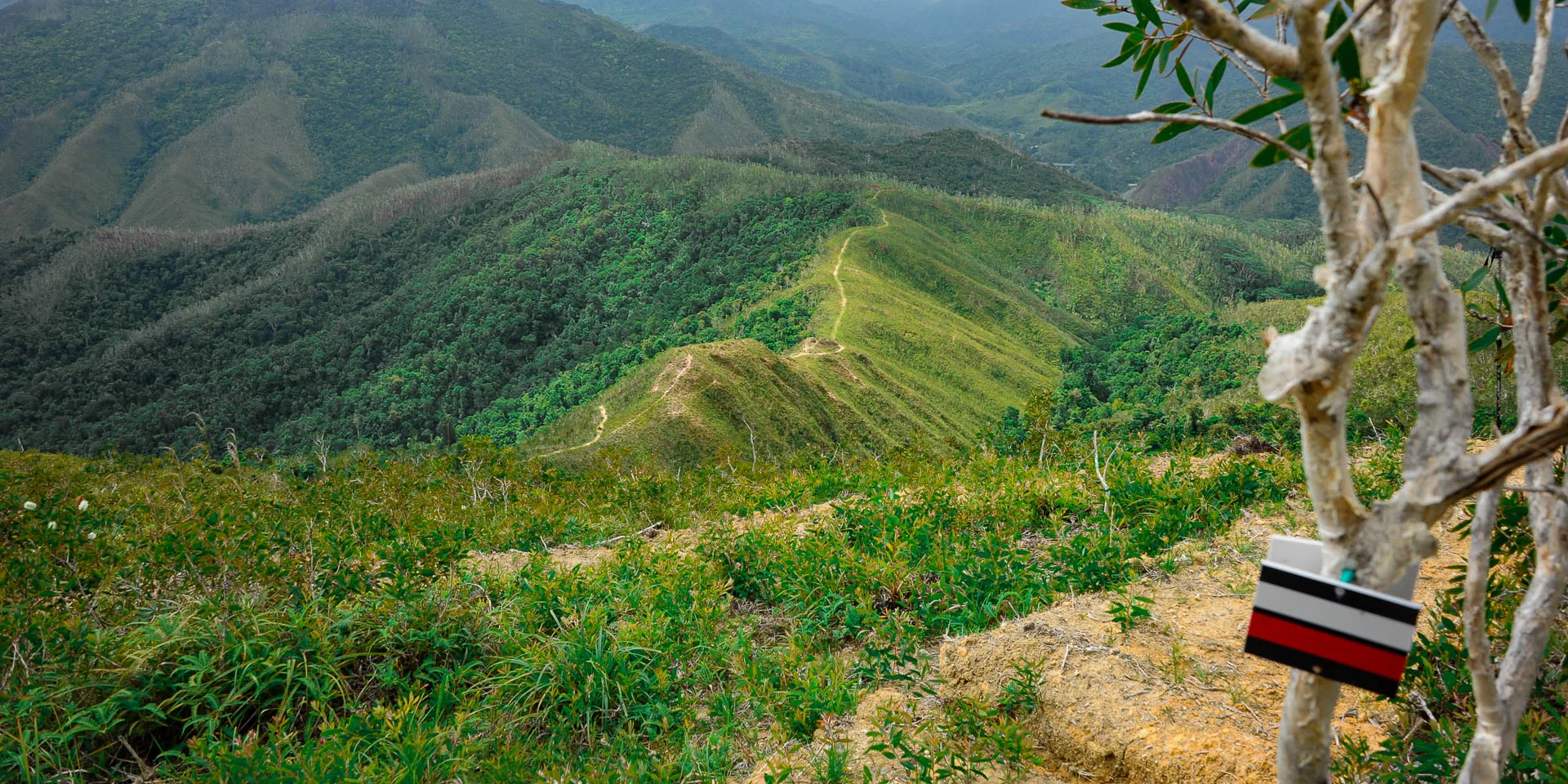 GR® Nord hiking trail in New Caledonia