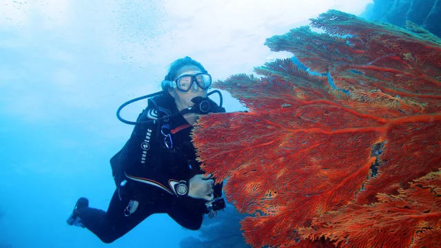 Diving in the lagoon, Isle of Pines