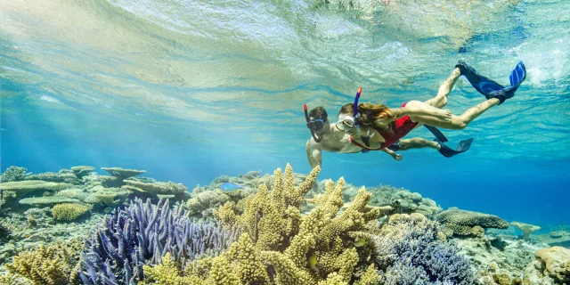 Nouveau Départ - Snorkeling en Nouvelle Caledonie