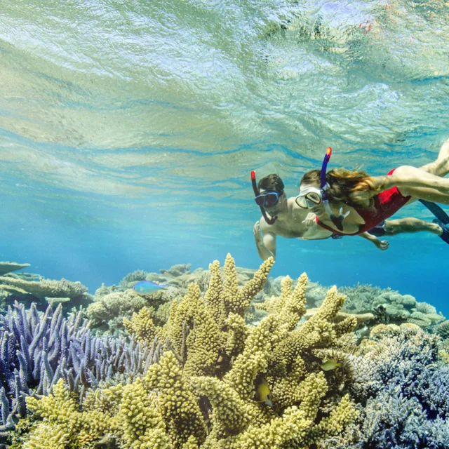 Nouveau Départ - Snorkeling en Nouvelle Caledonie