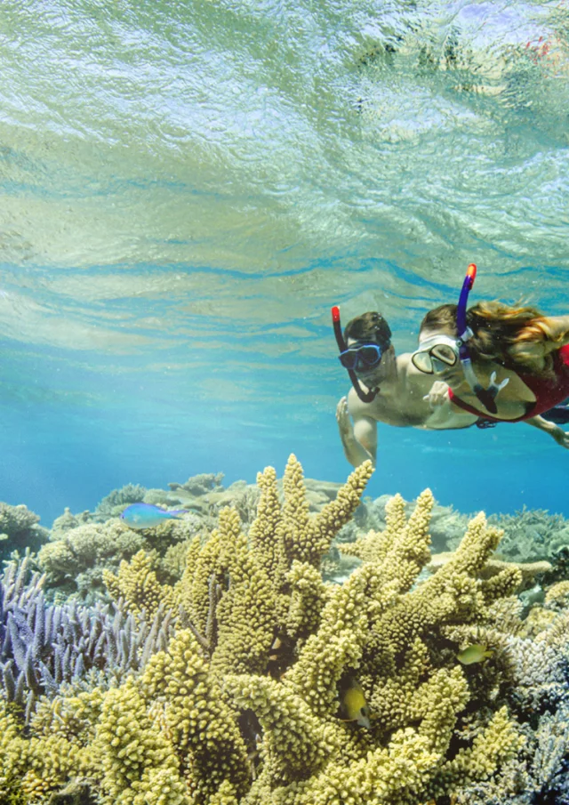 Nouveau Départ - Snorkeling en Nouvelle Caledonie