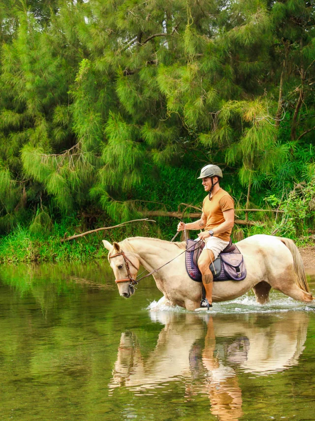 Randonnée à cheval à la Ouenghi