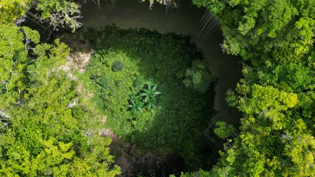 Trou de Bone, Maré