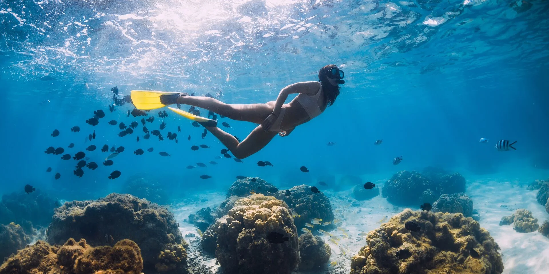 Snorkelling at Goéland islet