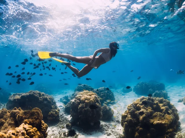 Snorkelling at Goéland islet