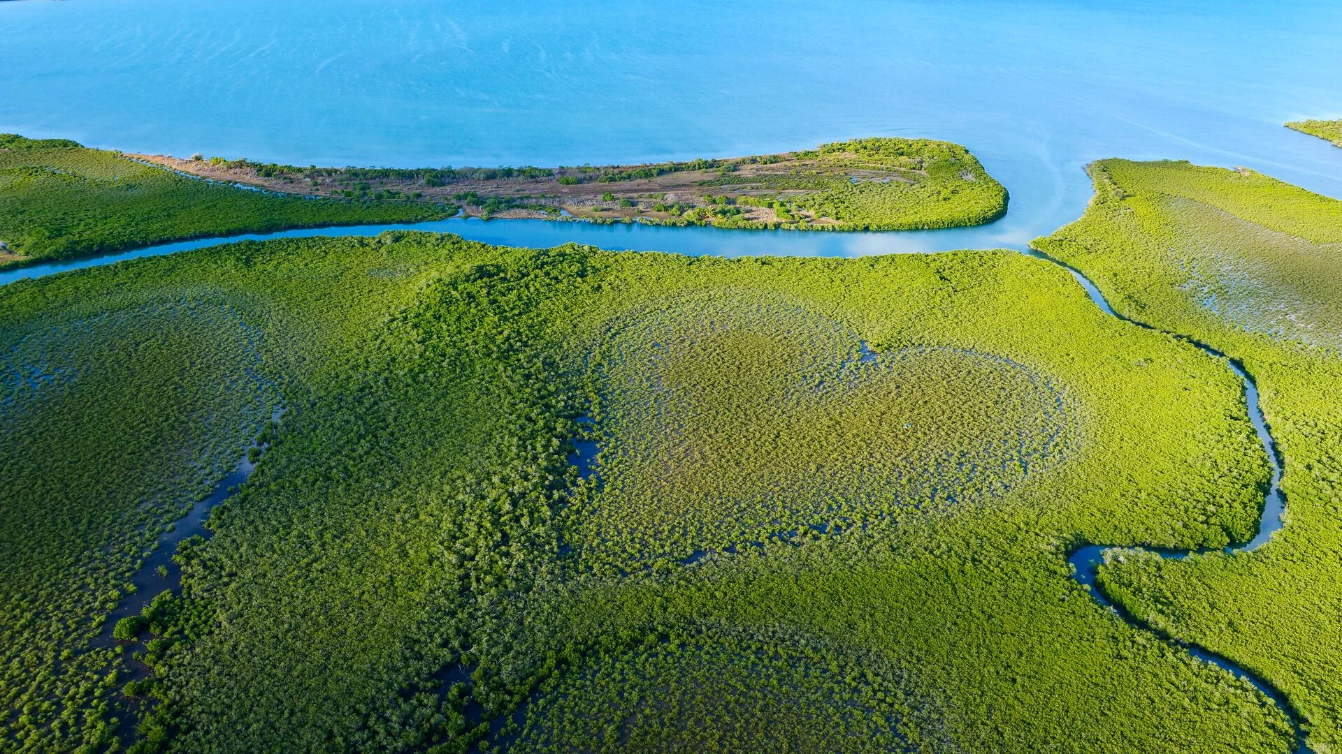 Survol du cœur de Voh et de la mangrove sur la côte Ouest de la Nouvelle-Calédonie.