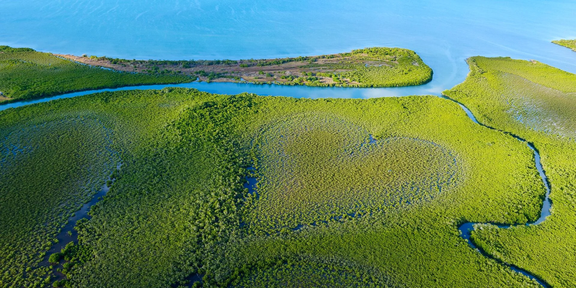 Survol du cœur de Voh et de la mangrove sur la côte Ouest de la Nouvelle-Calédonie.