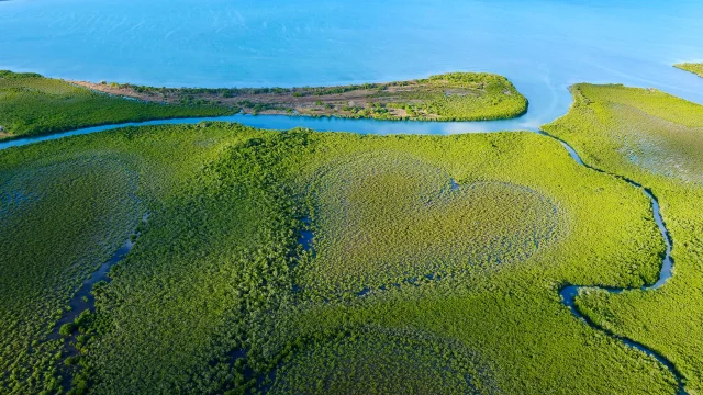 Survol du cœur de Voh et de la mangrove sur la côte Ouest de la Nouvelle-Calédonie.