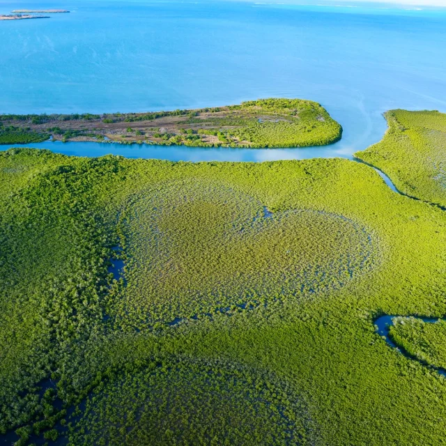 Survol du cœur de Voh et de la mangrove sur la côte Ouest de la Nouvelle-Calédonie.