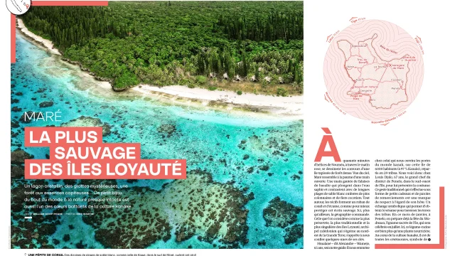 Article Magazine GEO n°554