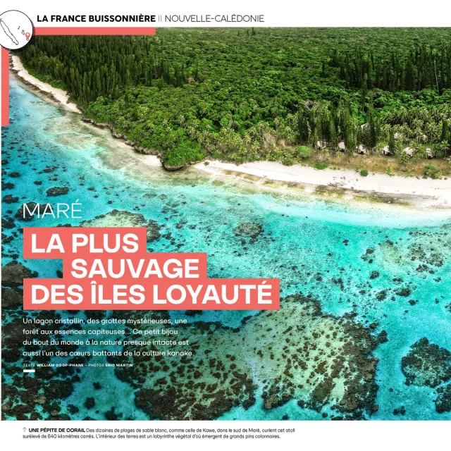 Article Magazine GEO n°554