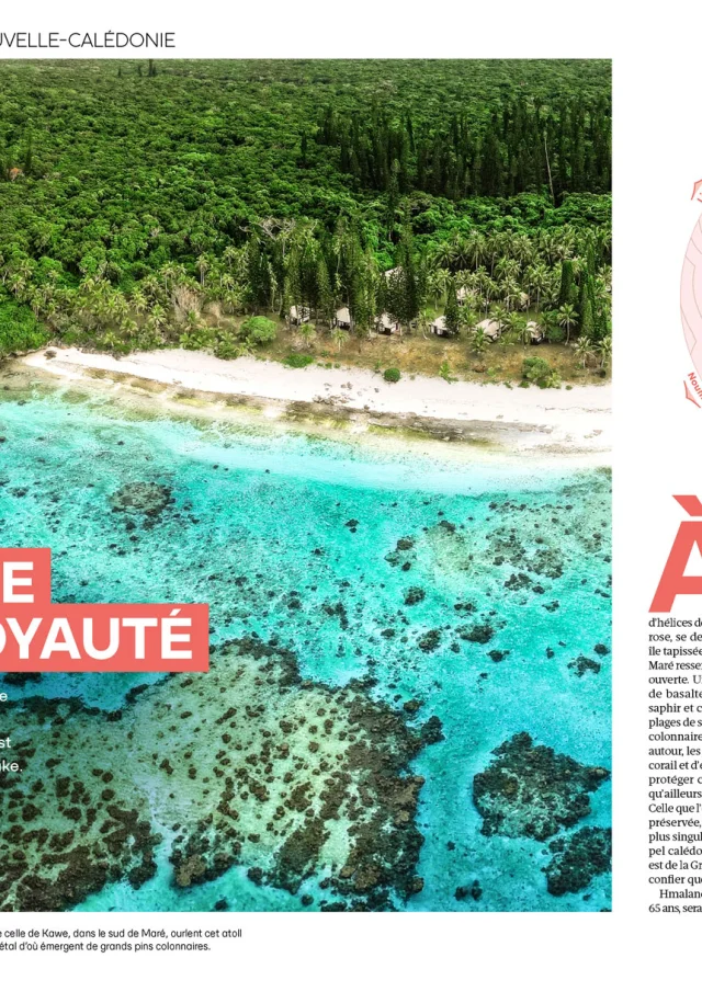Article Magazine GEO n°554