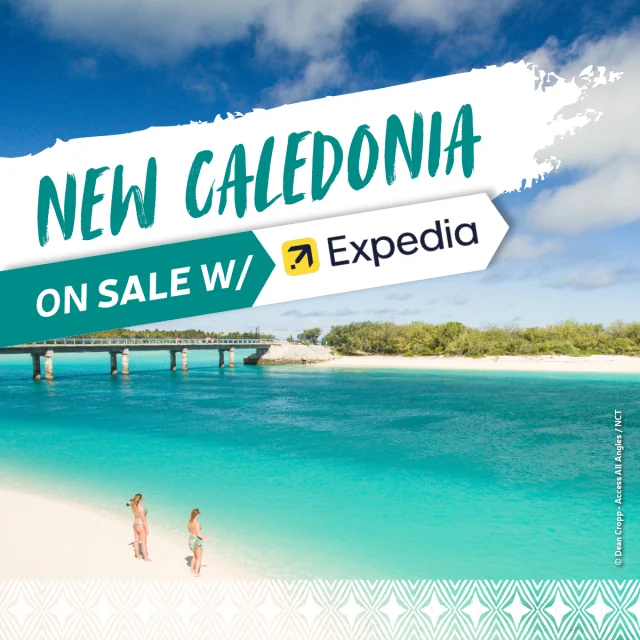 Adsnct Pushcoop Site Web 1200x1200 Logo Expedia