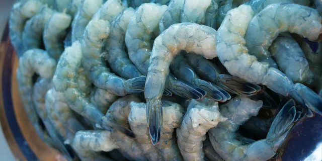 Crevettes bleues de Nouvelle-Calédonie