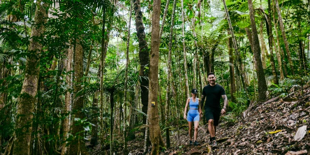 Walking in the Great Ferns Park, Farino
