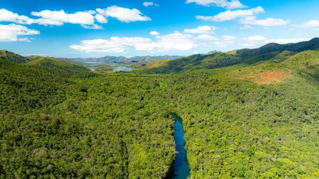 Blue River Provincial Park