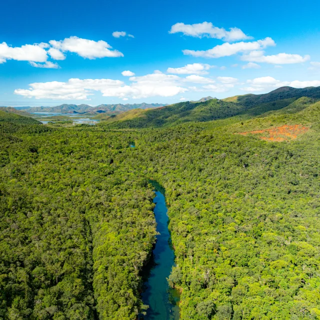 Blue River Provincial Park