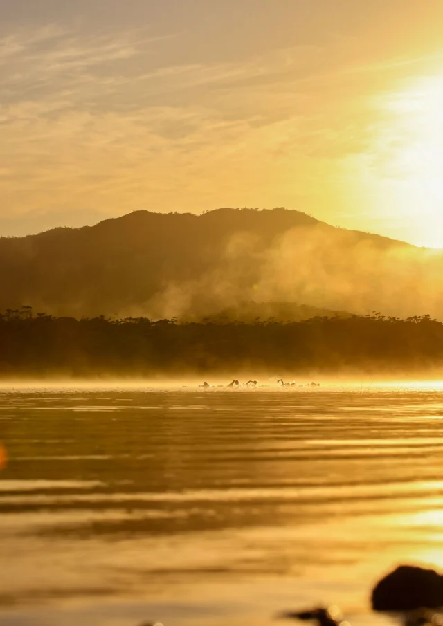 SwimRun in New Caledonia