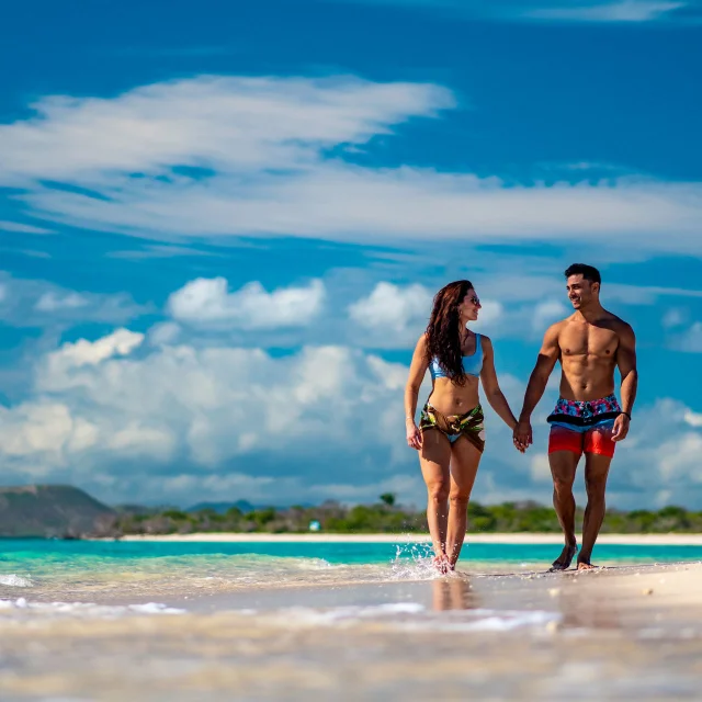 Couple à l'îlot Ténia