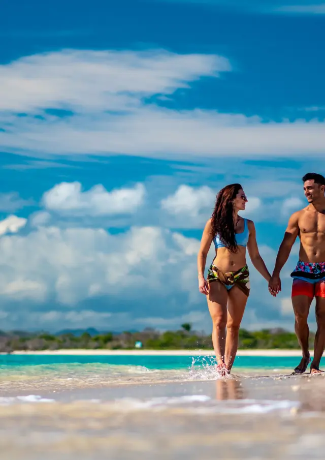 Couple à l'îlot Ténia