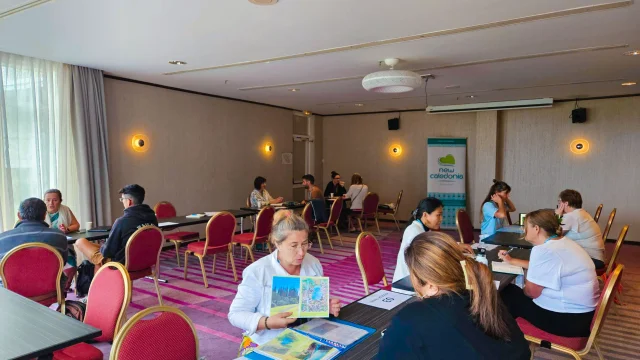 Workshop NZ au Méridien Nouméa