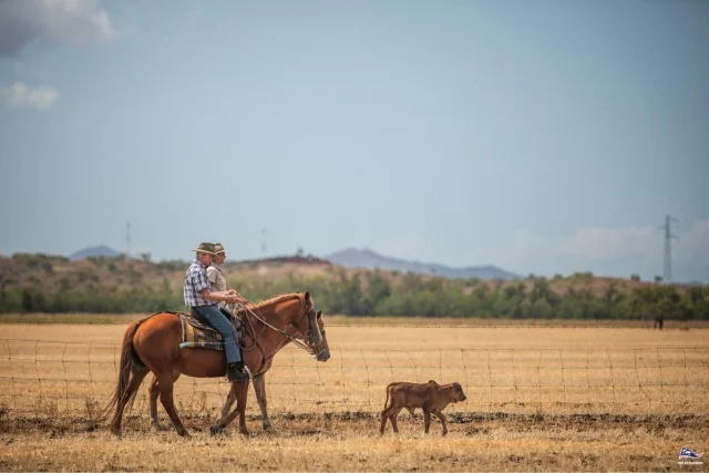 Cowboy Cation New Caledonia - Vacations & Travel