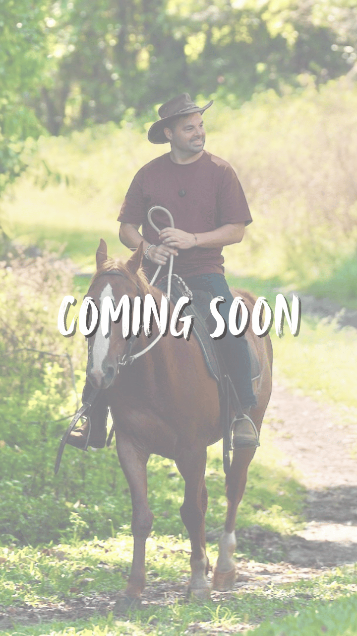 Episode 3 - Coming soon