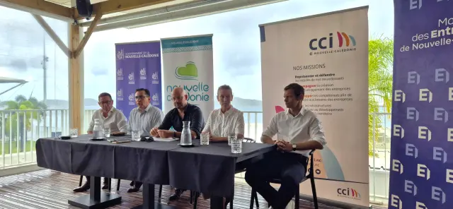 Présentation relance du tourisme en Nouvelle-Calédonie