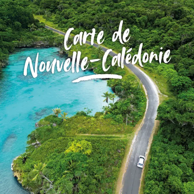 Carte NC et Top 50 expériences 2025