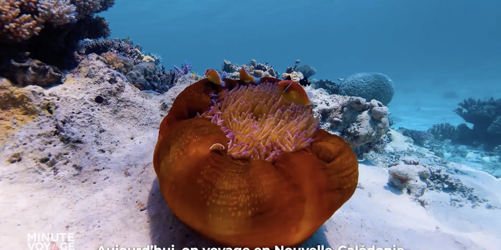 La Minute Voyage en Nouvelle-Calédonie.2025