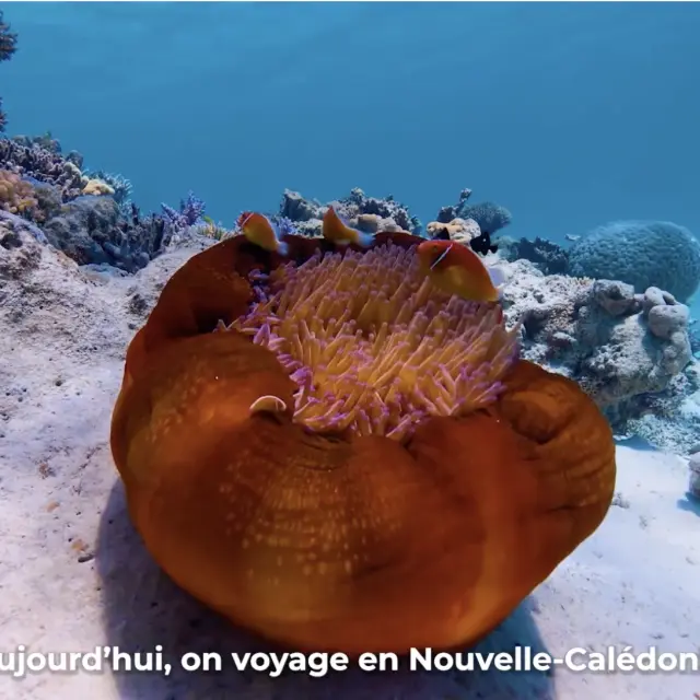 La Minute Voyage en Nouvelle-Calédonie.2025