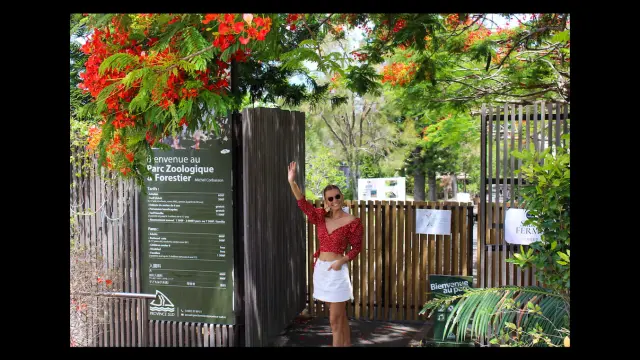 Le Parc Zoologique et Forestier de Nouméa recherche de nouvelles activités.